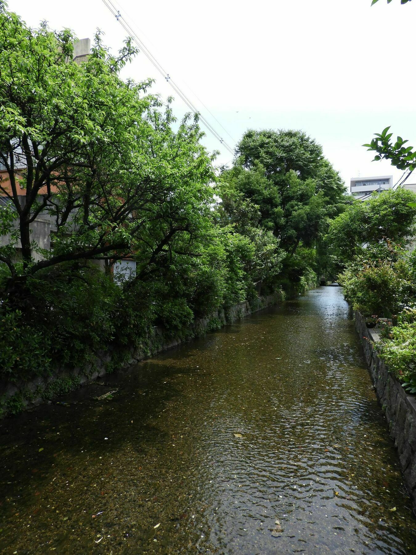 Kyoto Takasegawa Bettei Hotel Exterior foto